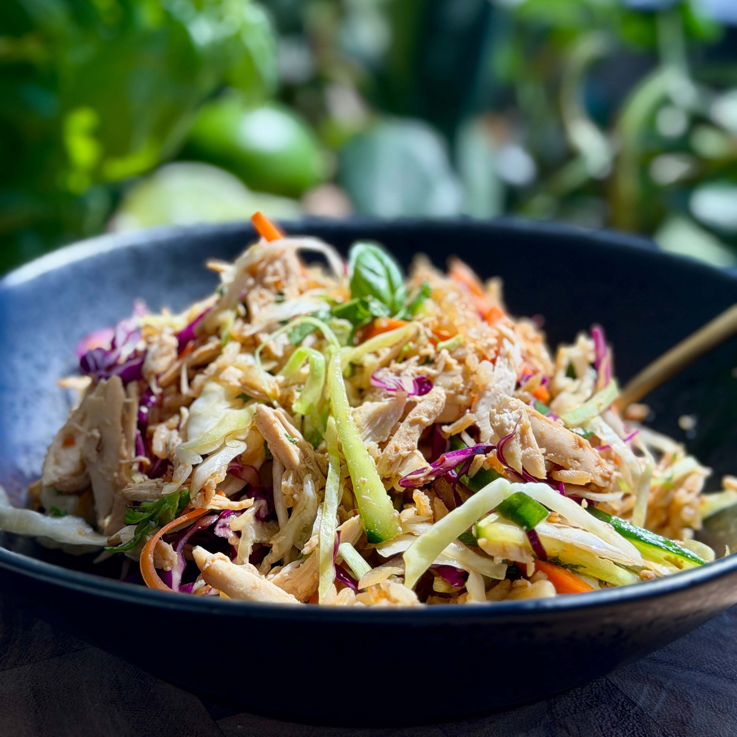 Feed Your Soul Asian Inspired Chicken Salad