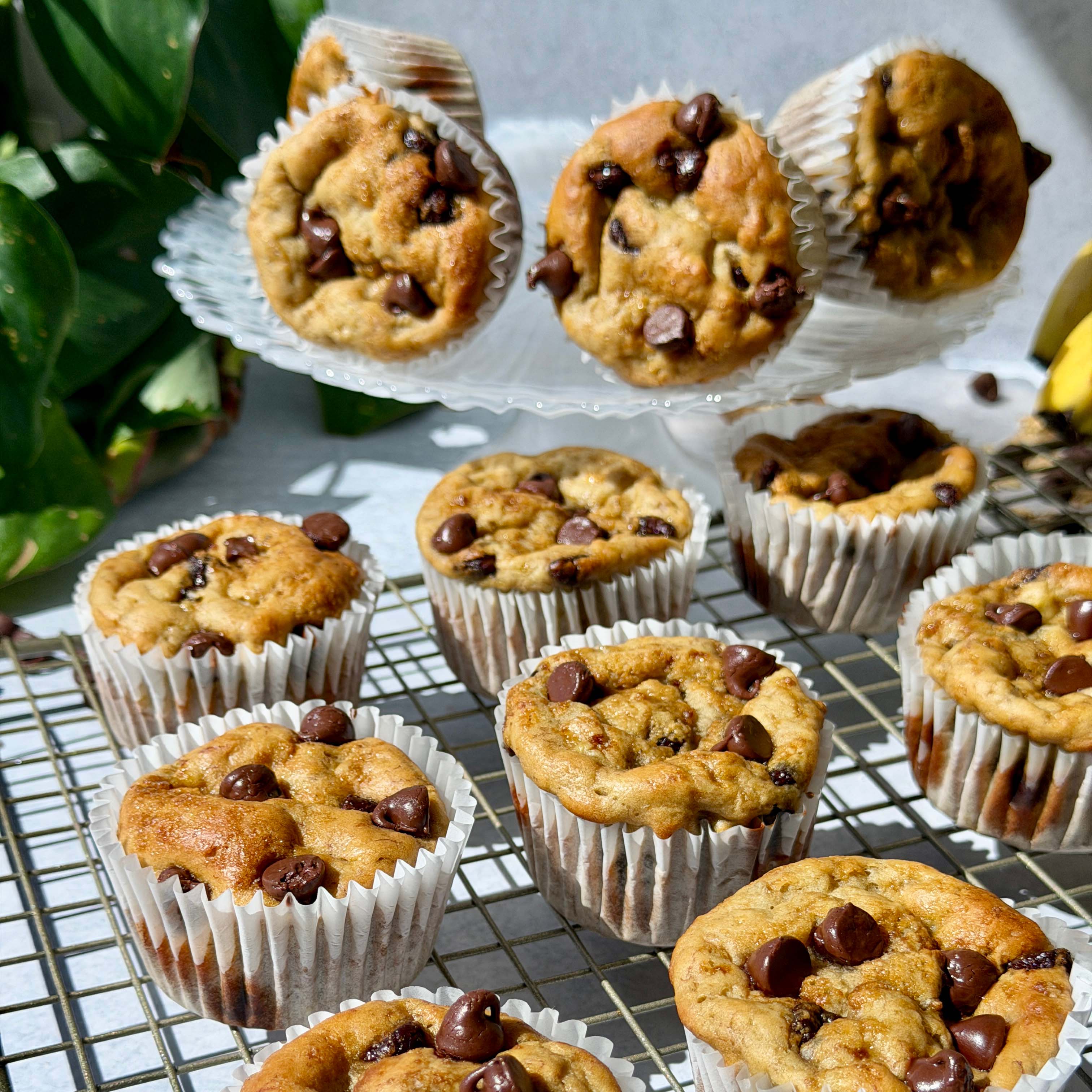 Feed Your Soul High Protein Banana Chocolate Chip Muffins